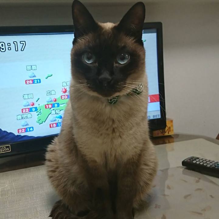 68258d23 4f79 437e b738 ea0430dd09fe 1520080833219