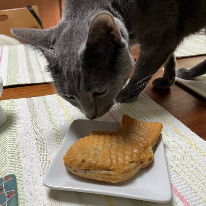 6825ca17 16fa 44ff 882d 27df8c458bed 1705646270427