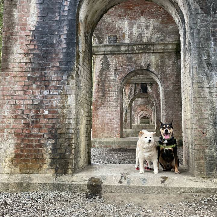 6825eee4 be7f 4dbd 8f82 b400ab9f7cbf 1679460440831