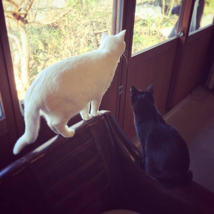 68260e64 b9b8 4f44 9614 a72fc50da12d 1519086098910