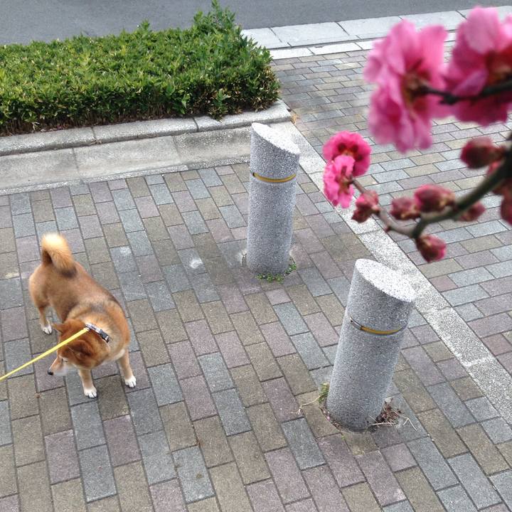 68265722 1b3b 4902 bcd8 a5214dacc335 1550033984734