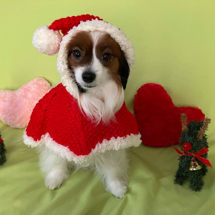 68265c6f 4e93 48d9 b565 5e46cebc5e4f 1735062880715