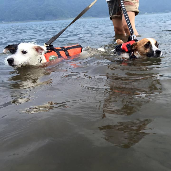 682683ce 0cb8 46b4 b38d a2f13ada7725 1659327289776