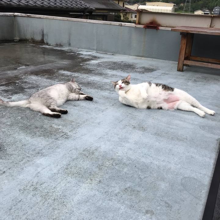 6826e836 48de 4d7a a8a4 7473335cbf85 1567776385298