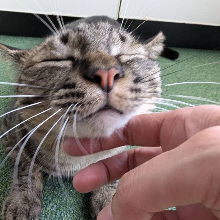 6826ec95 3fd1 489c 9099 e84fcdf4296e 1723440323018