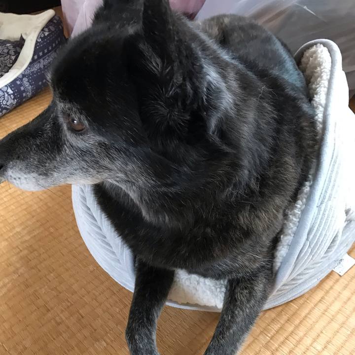 68271419 facd 4797 968b 3fd1f99b5a89 1580566755782