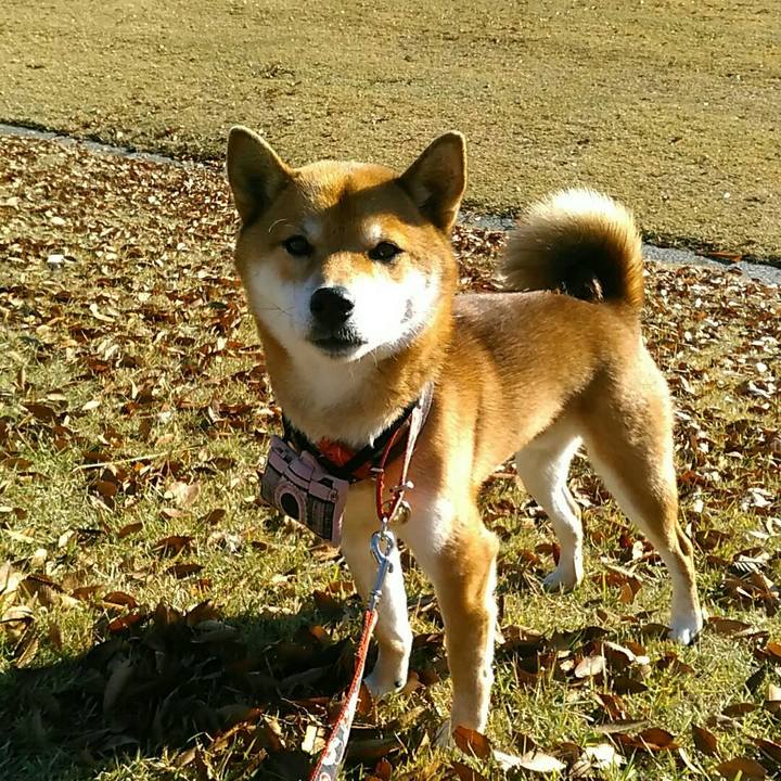 68273d05 5338 4a87 8701 aa217ec4da2a 1545094599655