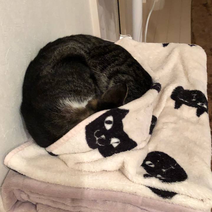 68275090 0967 4898 847d 565a17c5a9da 1529145403018