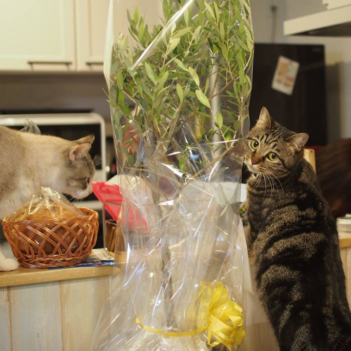 68276ec3 e66e 49ba bd4c 9e9531fbe50f 1551524906839