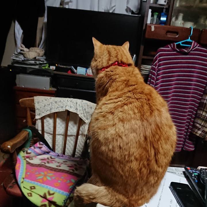 68278206 261d 4a4a a126 0b67f5cc91f1 1579121765635