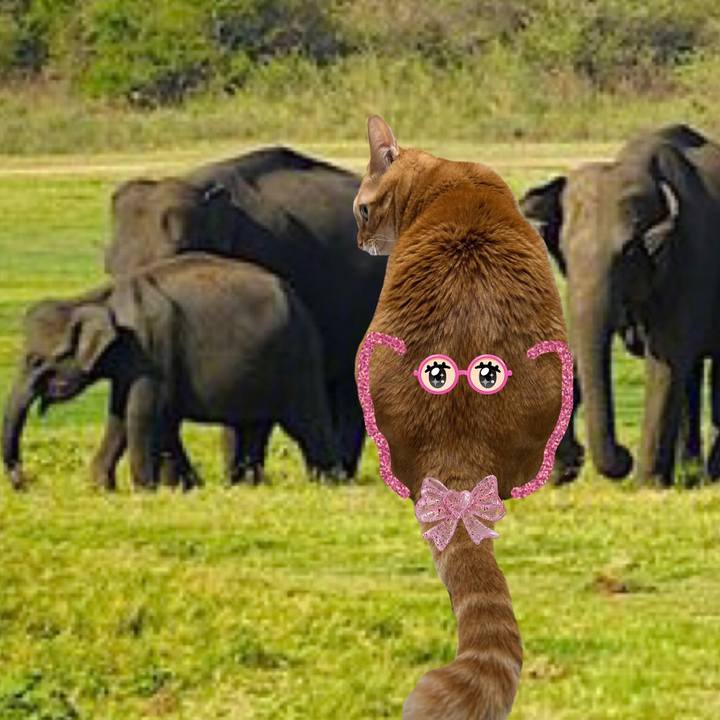 682796f3 d04f 46a5 bf54 26af1a2f0d38 1639784251355