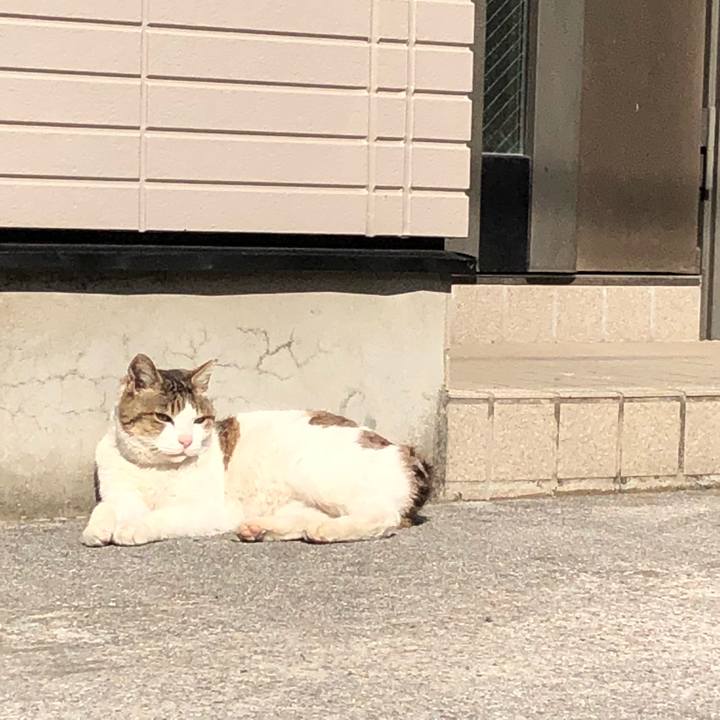 6827b866 87a9 4d10 9249 061655e7da2f 1524210284935