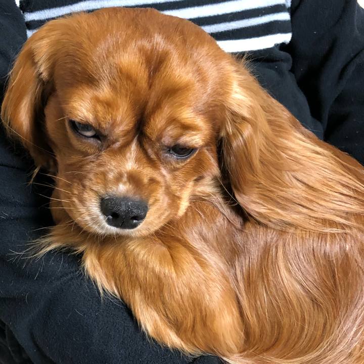 6827c820 6fd3 4b6f a304 21bde3585acf 1547936692782