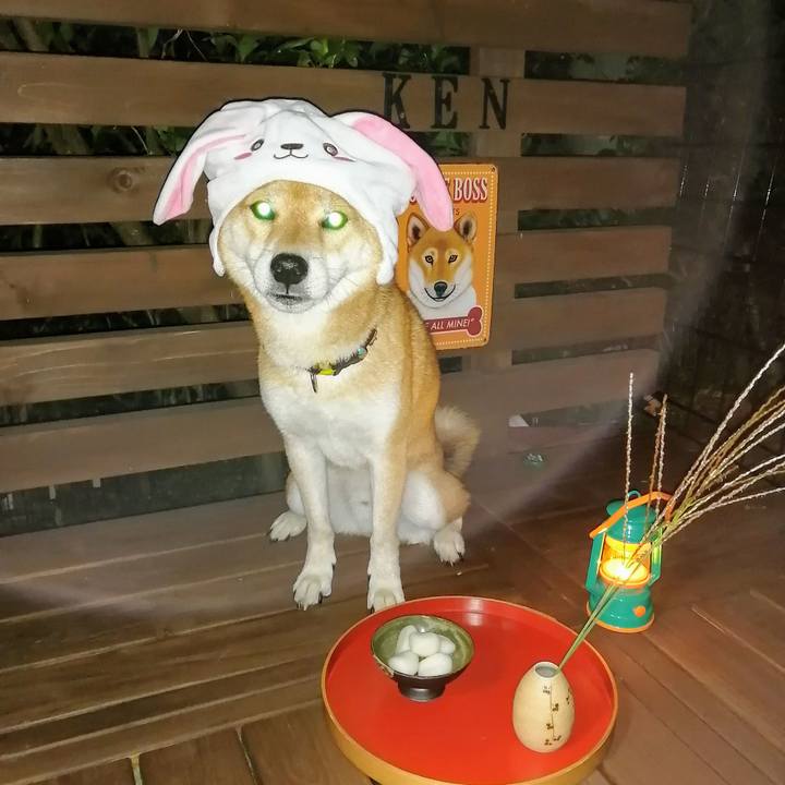 6827fee4 0db2 49ca 9dfe 3dab4e88c5d1 1632217422040