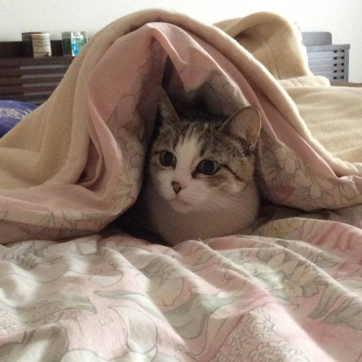 68281e69 abb3 40cb b240 f12a7d847fb1 1764686069477