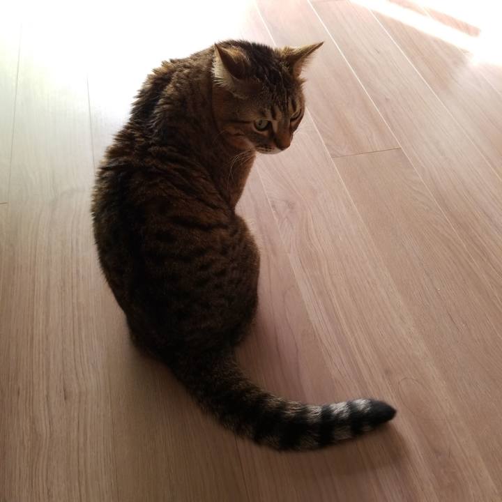 6828841c 7086 45f7 a95c 99e1bf6bd03d 1581726294124