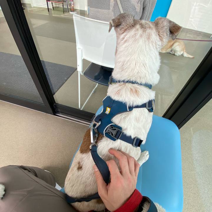 68288b40 c69c 481b 84c1 bcfdf78f1a6d 1675485828205