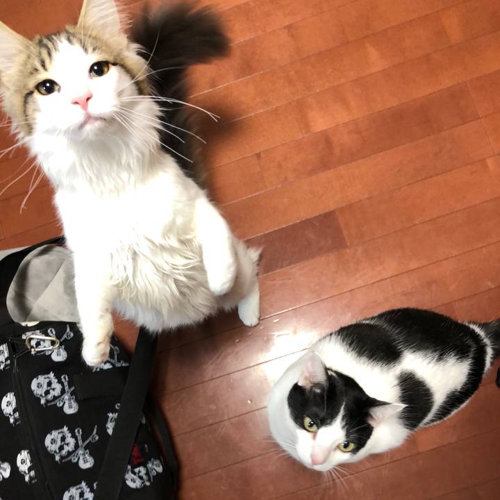 6828b591 ce74 4b91 aee9 4dc07d4ea5e6 1515942942208