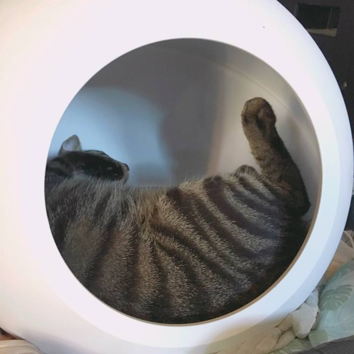 6828bc42 011e 400d bb8b af7a17fc8a6b 1566024781030