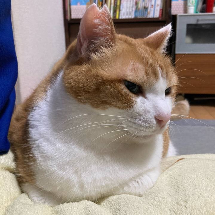 6828bc90 c850 4c4e be5f 8a1469afec43 1764846911289