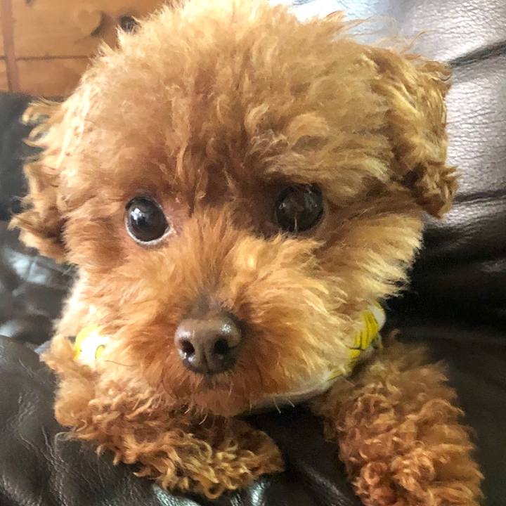 68293def a7ff 4fd8 b8ae de46eb3feb1e 1556857802548