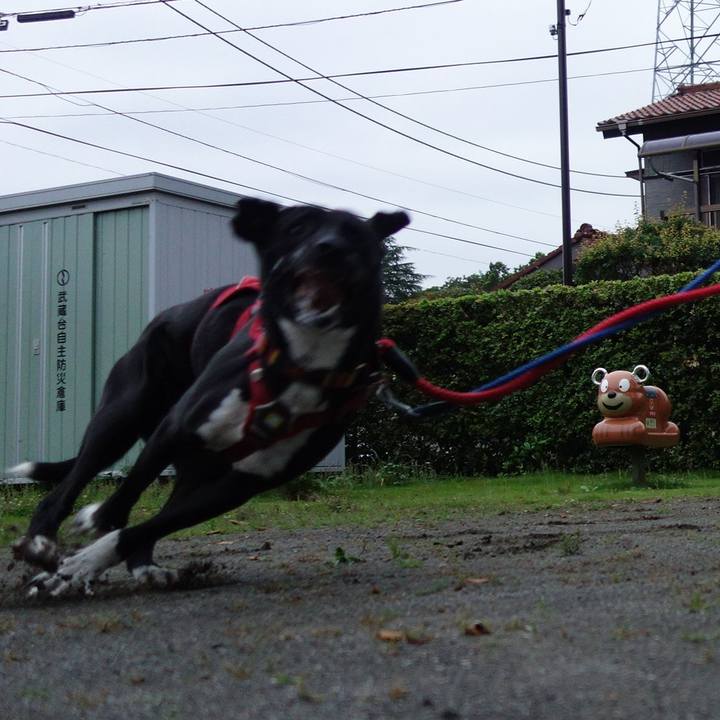 68294148 49be 4499 b4dd 3a9ad15c35dc 1593080052043