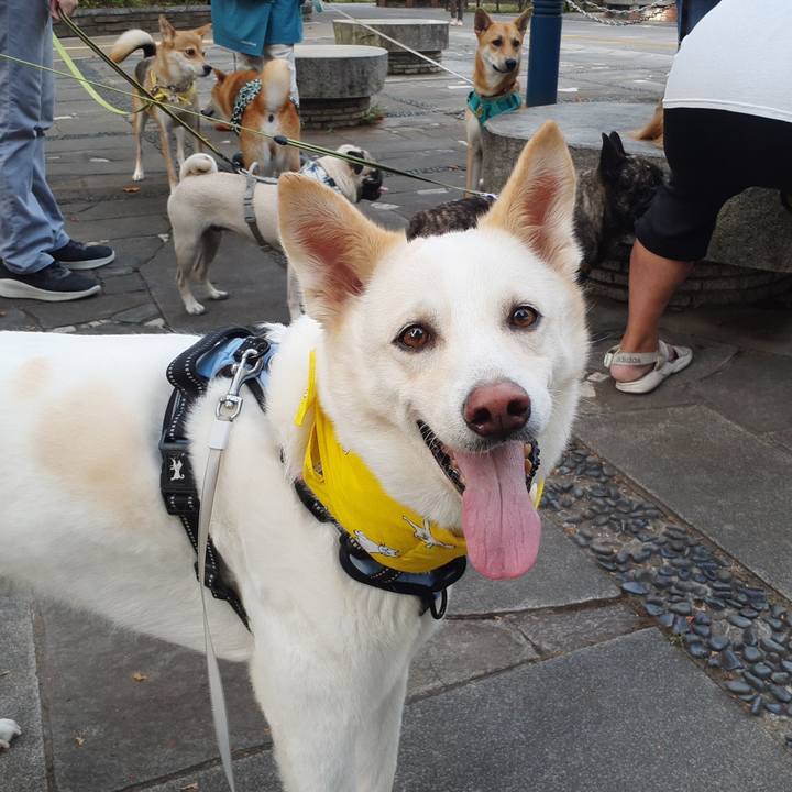 68298743 44ad 41a6 820d e8cad4079326 1657327225616