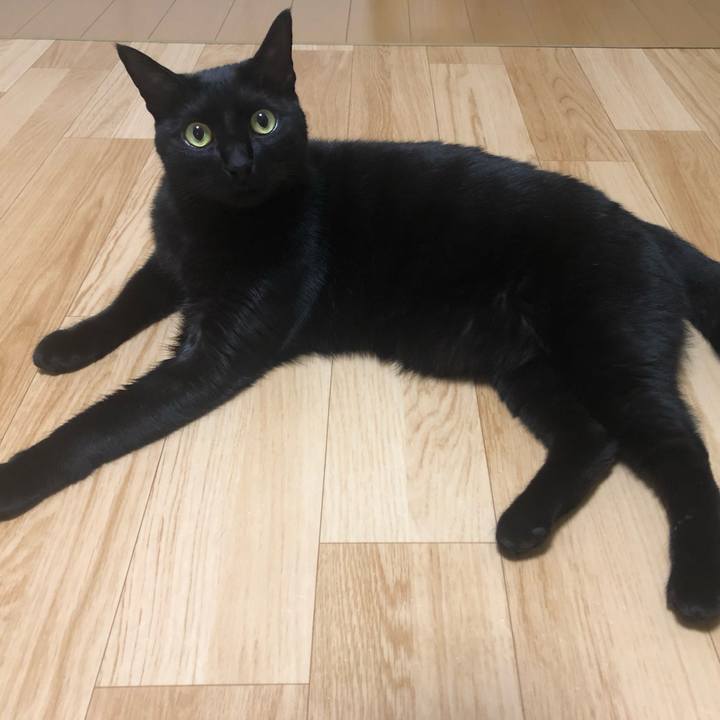 6829eda6 6f63 4500 88f2 5513fc0e6ce1 1555682882022