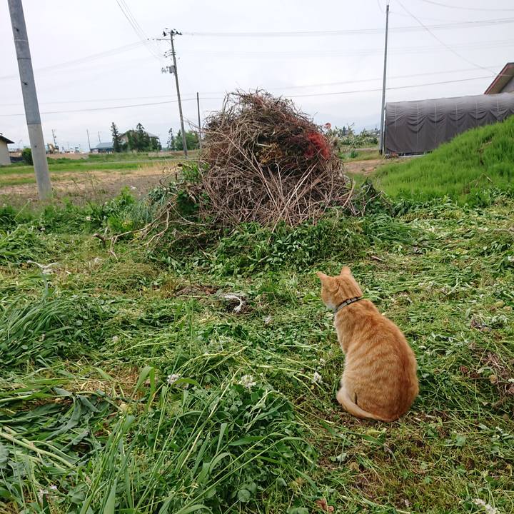 682a0716 fb12 4538 ad6f ba56c1baa060 1589614043360