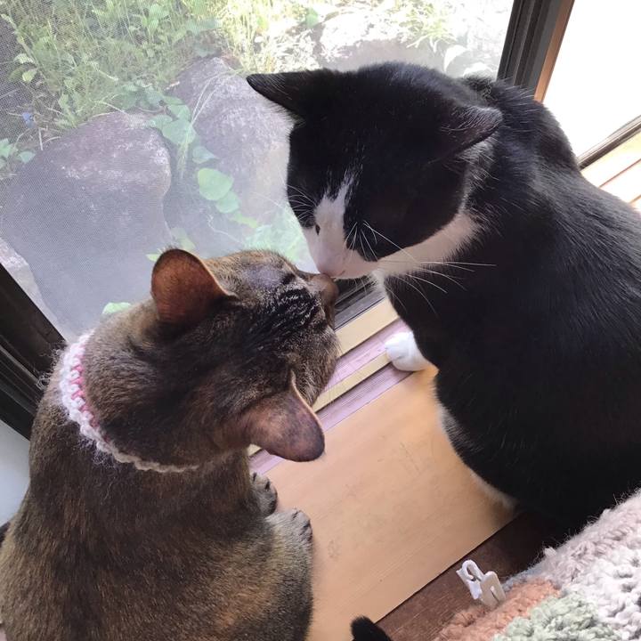 682a4462 3769 4b8a ab98 3eb2eb144255 1651273413062