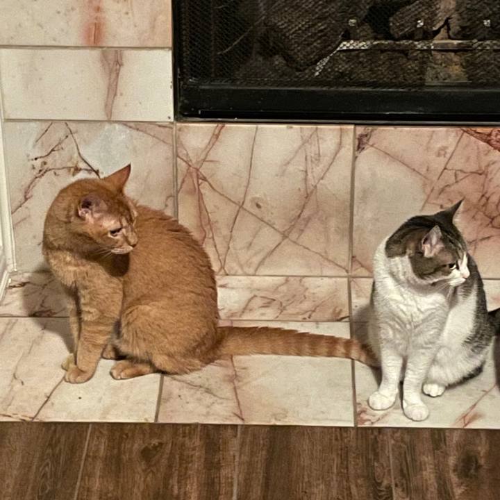 682a5e46 fc2e 4f16 84df f5bd9f945a68 1695255150416