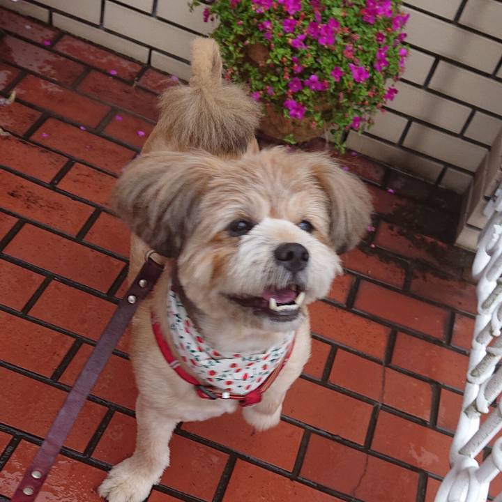 682a6798 588d 477e 9ee2 381dc22c7e06 1592037767768