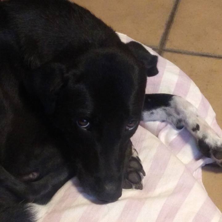 682a987b 480f 4da0 b251 52347182ac0f 1592007537109