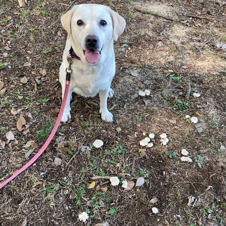 682b083f ee3a 488d 9bcb 323a80434b4b 1725631839914