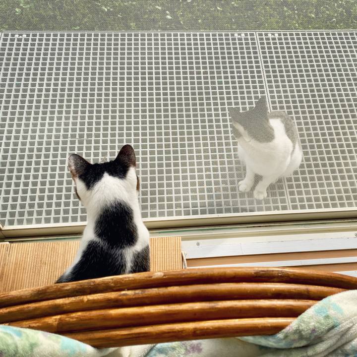 682b1993 14f5 4443 8f7d f159783da36d 1602460841776