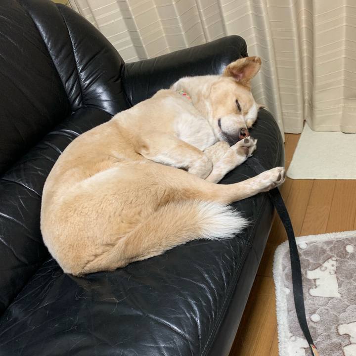 682b2ca7 e09e 4557 99bb 234f0f3e1570 1550452488690