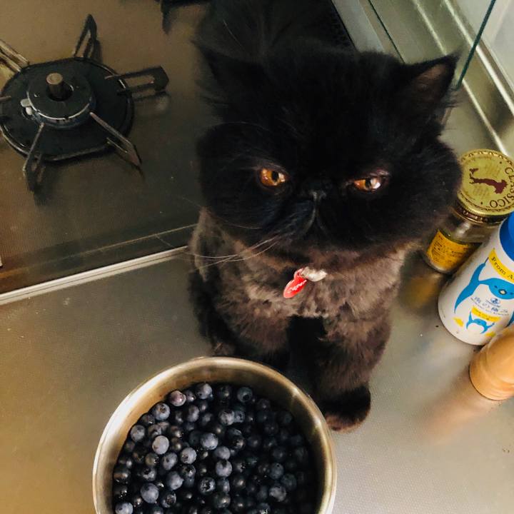 682b419c b941 4a64 aae4 ca39c5cc2296 1564137495877