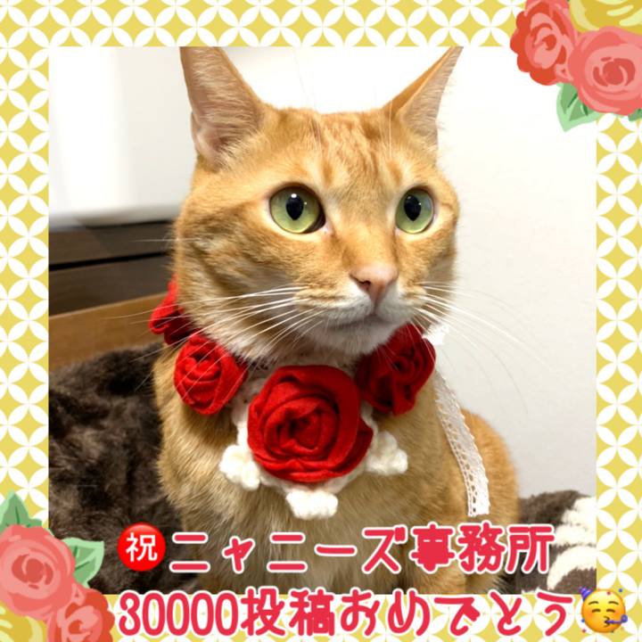 682b6fdf 1e0e 4213 8ebd f7277be9d0a7 1576404840627