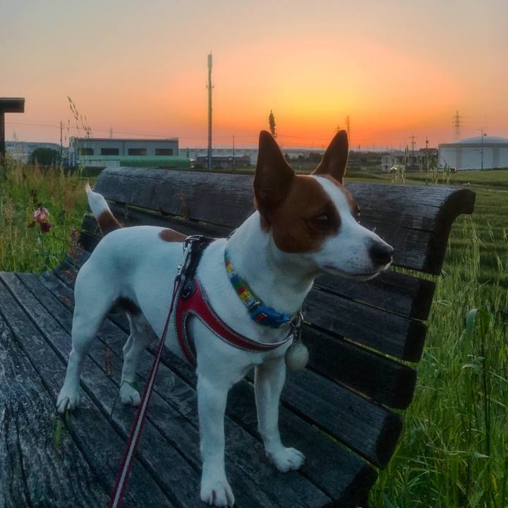 682bac1f 20a6 4f32 979e 66c3320f3270 1524916527880