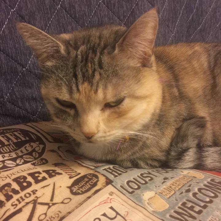 682bc7d4 b8e2 4ee9 a1ca f0e521502de0 1552664197668