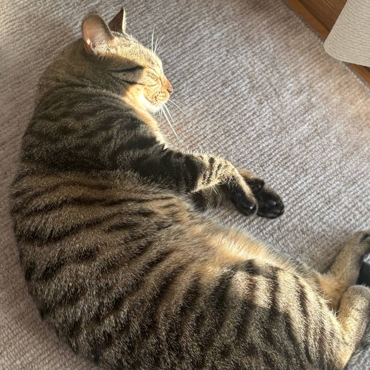 682c0a71 35de 40ee 99cb 06275ef6e512 1765076677113