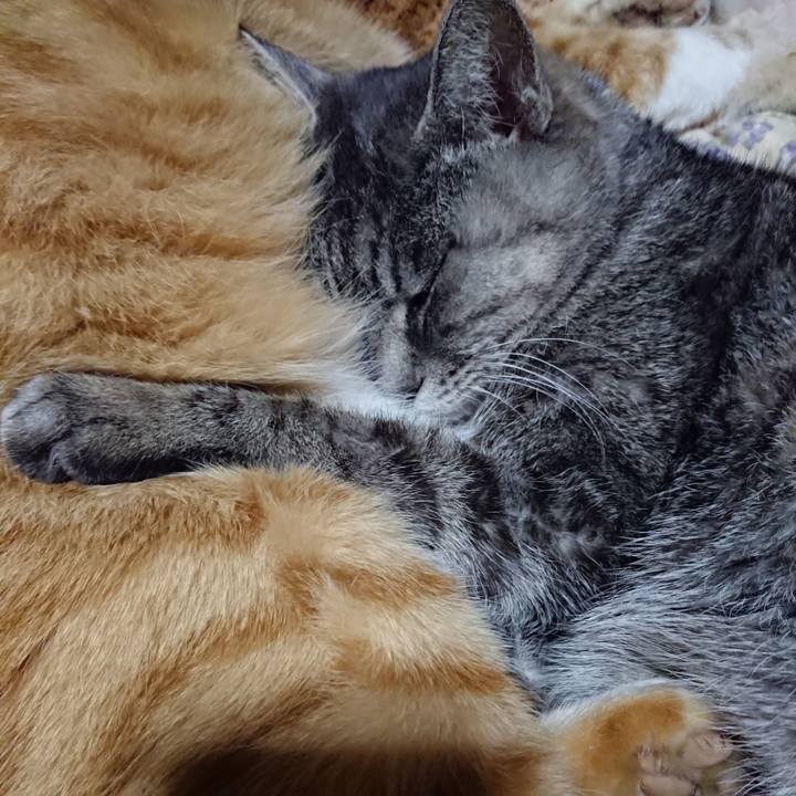 682c399b fb44 4b34 a538 df51142e2098 1575807783991