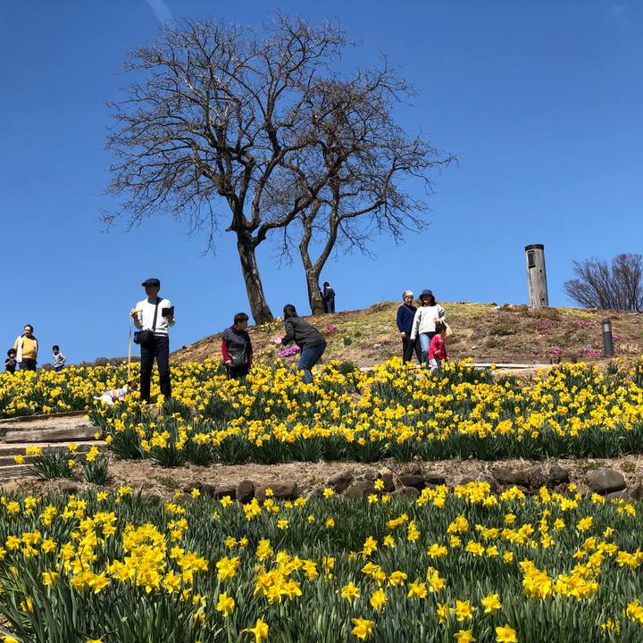 682c50d7 7b04 4f21 9a02 17b679272e15 1555131081991