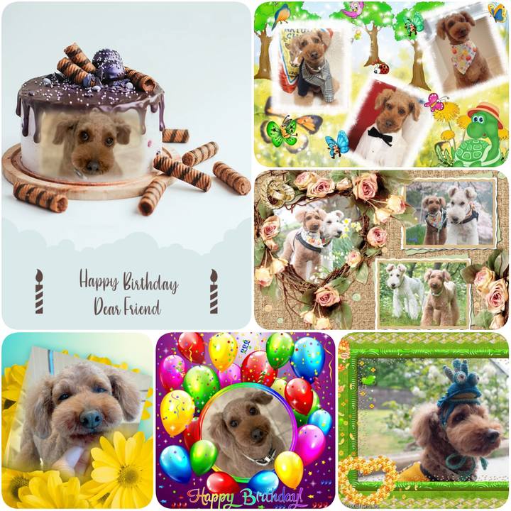 682ce3e1 af98 497a a628 c69d7e81ad71 1623359715343