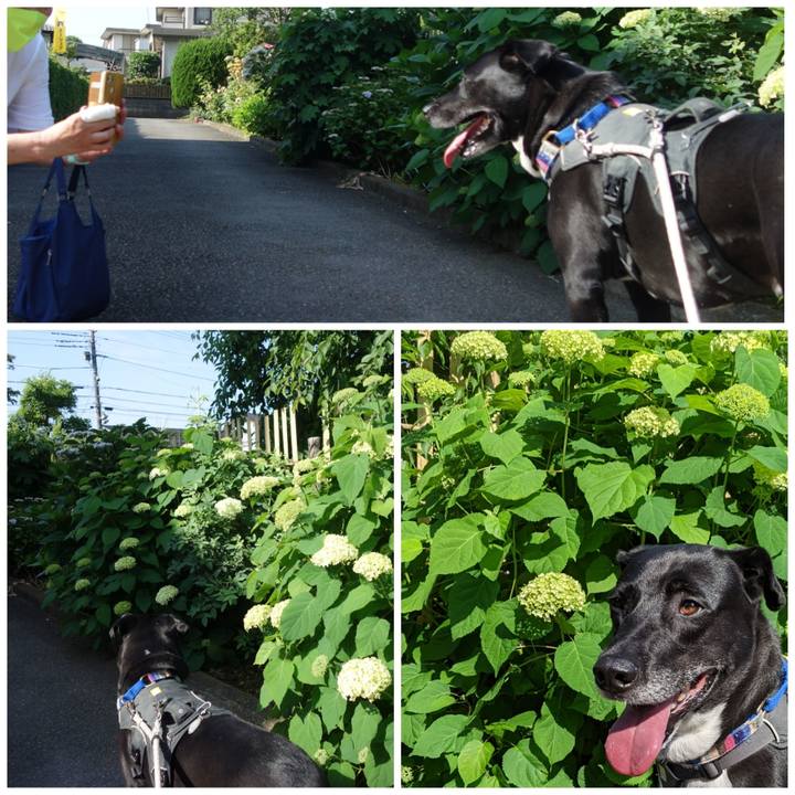 682ce9b4 e569 4101 abe0 63b8896a7261 1654214650046