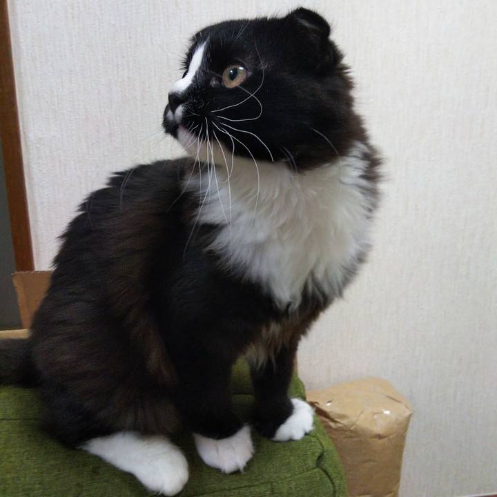 682d37d4 e215 442e a36b efd513e7476a 1645103970725