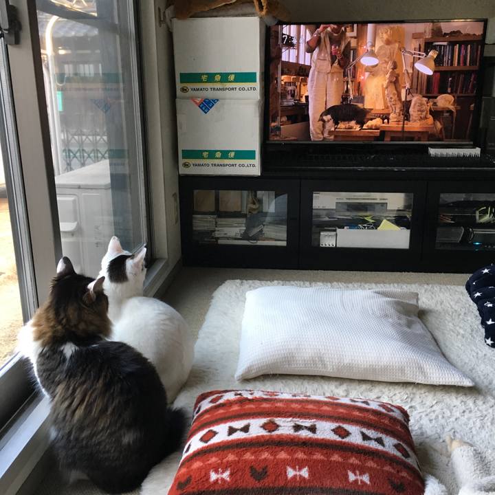 682d522d 3b25 4b47 b4f7 7555de1f464b 1517795632922