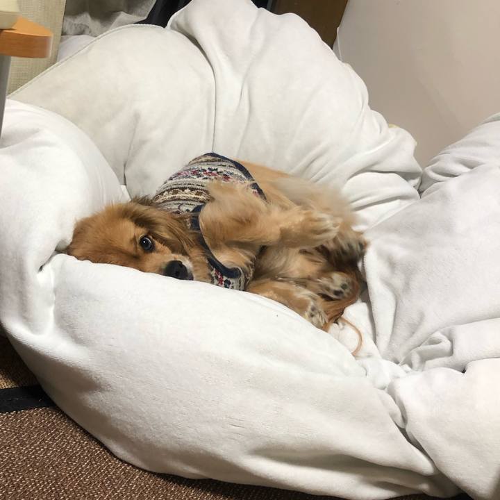 682d7b1f f603 45c0 9689 2fc642c9c3bb 1547506096491