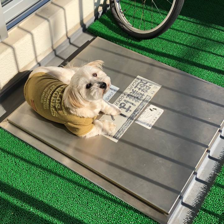 682d855e 63bb 47d3 abf5 6f59a2278e8d 1515642311992