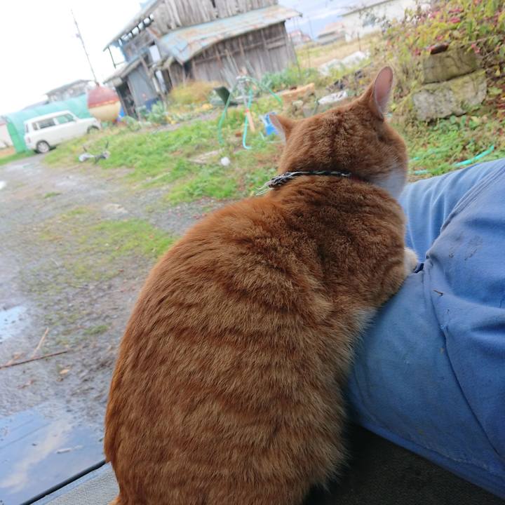 682d8e97 22e3 4db8 9f8a e967ad55d93a 1573891038457